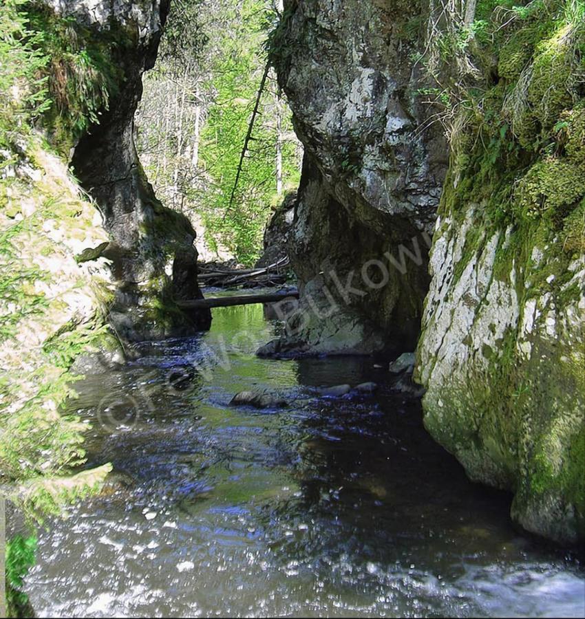 Fewo Bukowina Waldshut-Tiengen Esterno foto