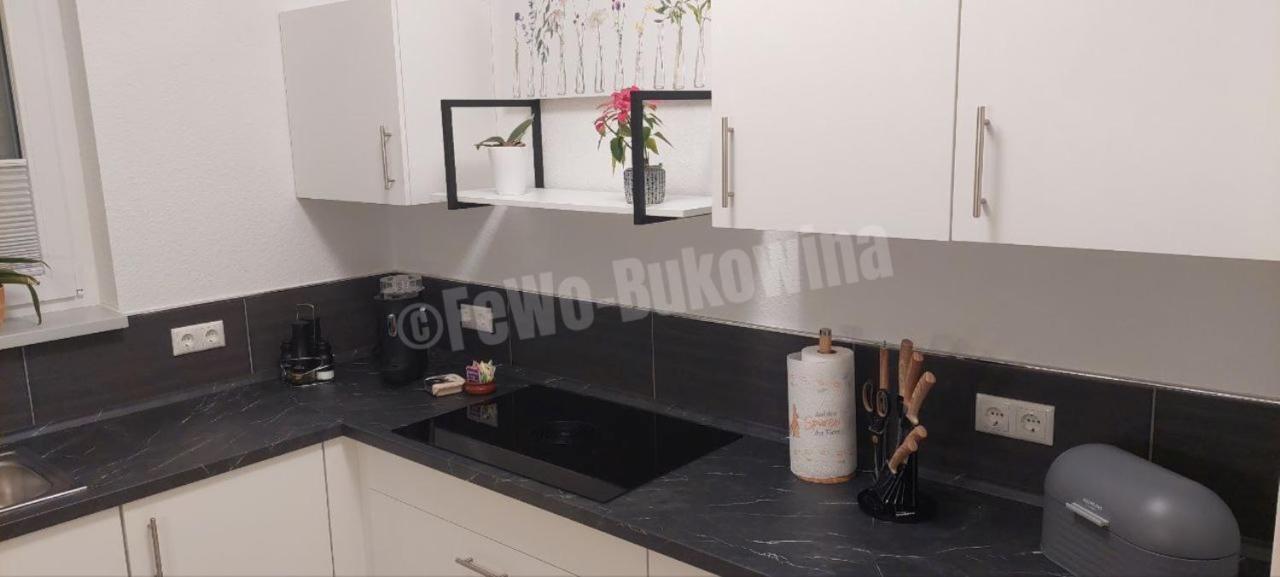 Fewo Bukowina Waldshut-Tiengen Esterno foto