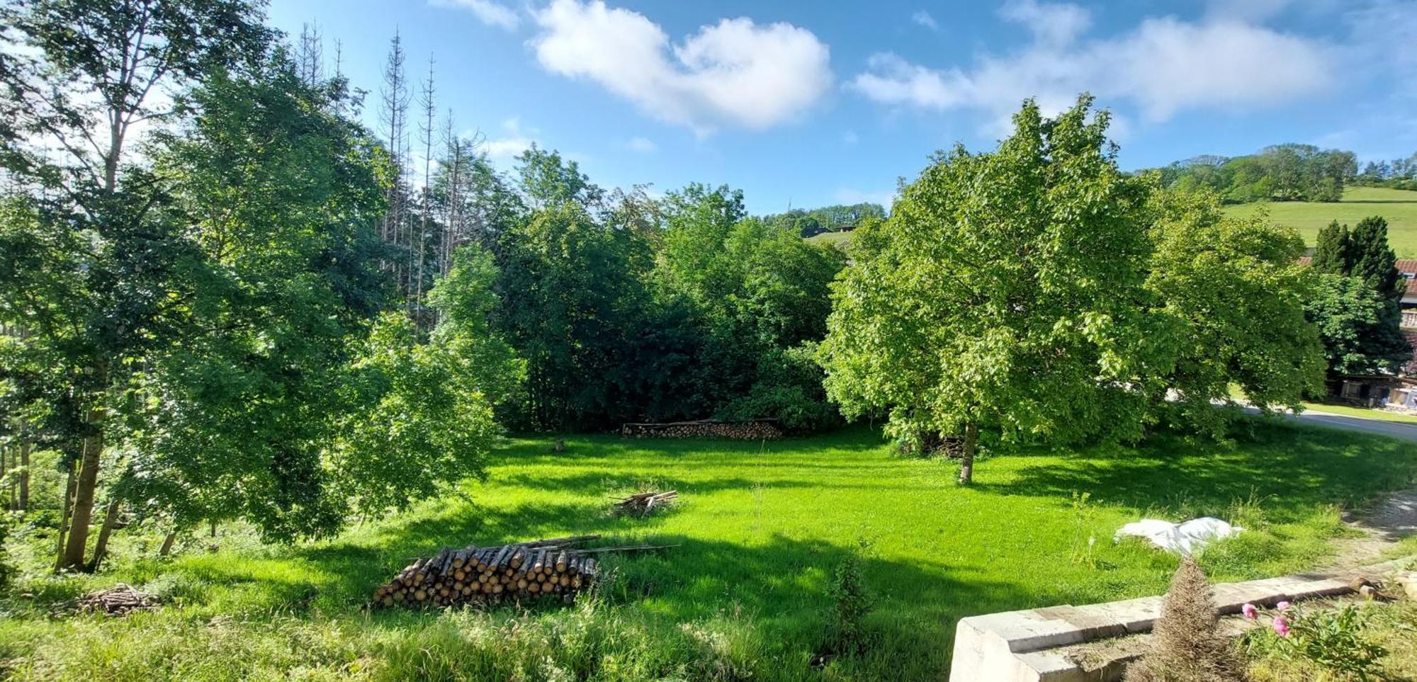 Fewo Bukowina Waldshut-Tiengen Esterno foto